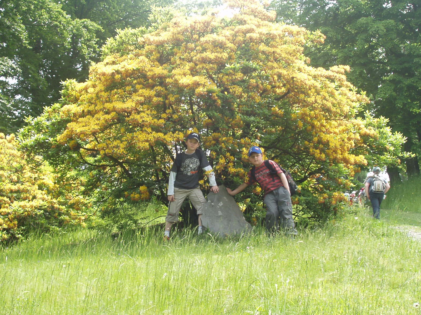 Školní výlet 2008 019.JPG